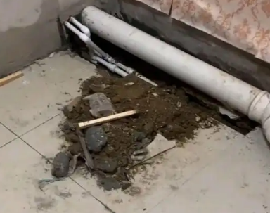 阳明卫生间漏水检测哪家好