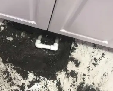 阳明查漏水哪家好